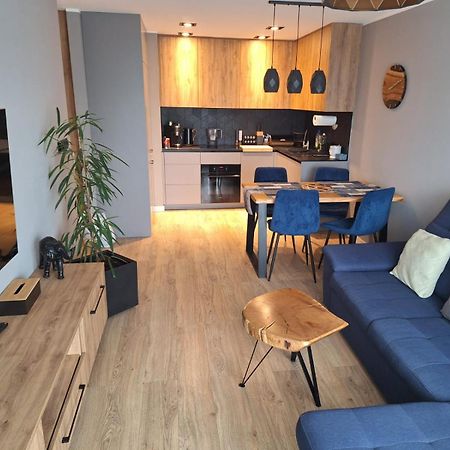 Komfortowy Apartament Dla 7 Osob Ch Arena, Prywatny Parking Γκλίβιτσε Εξωτερικό φωτογραφία